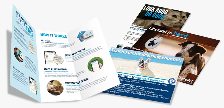 Brochures
