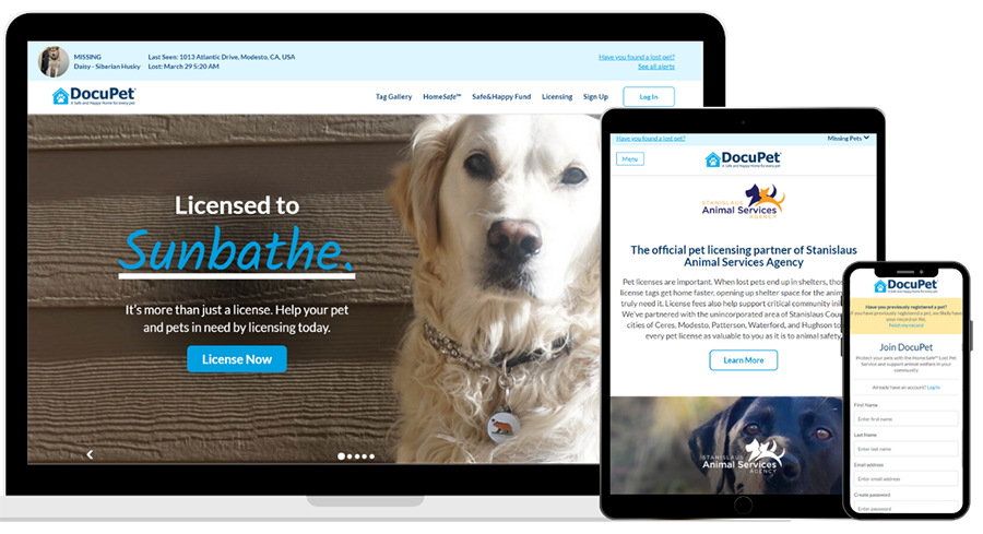 Custom Website