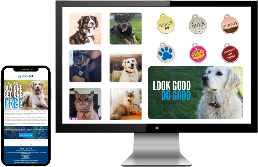 Digital Marketing Assets