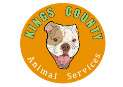 Kings County Animal Services
