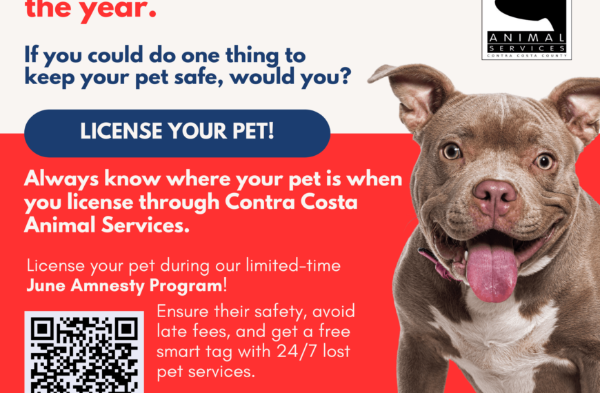 June License Amnesty Program: Protect Your Pet!