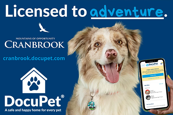 City partners with DocuPet for pet licensing