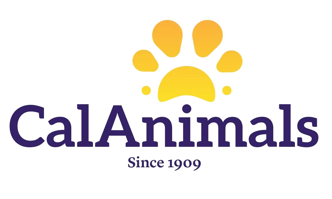 CalAnimals