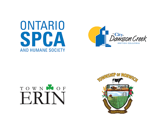 Local Partners Slide 16