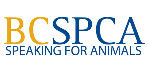 BCSPCA