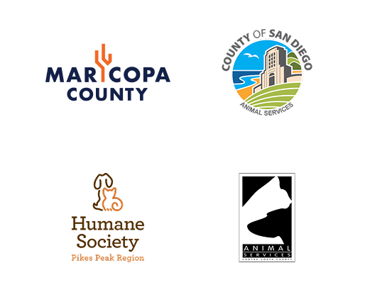 Local Partners Slide 1