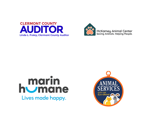 Local Partners Slide 10
