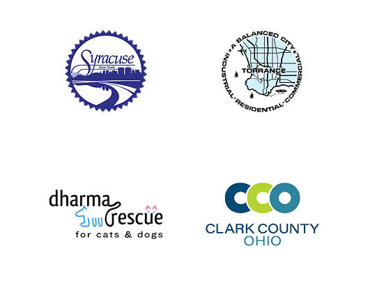 Local Partners Slide 12