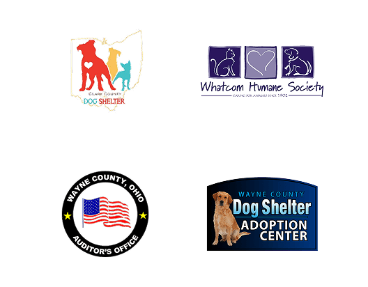 Local Partners Slide 13