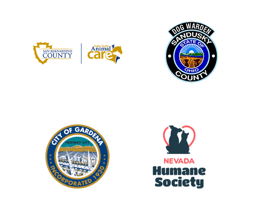 Local Partners Slide 18