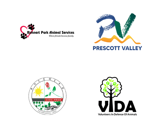 Local Partners Slide 19