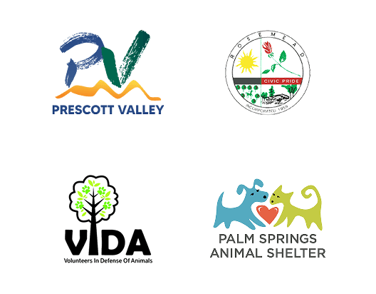 Local Partners Slide 19