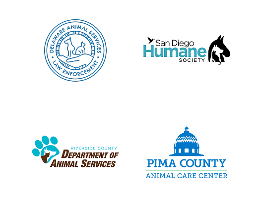 Local Partners Slide 2