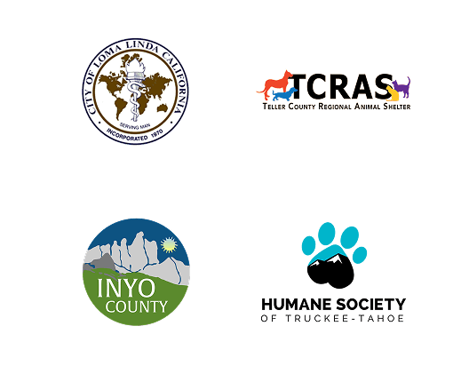 Local Partners Slide 21