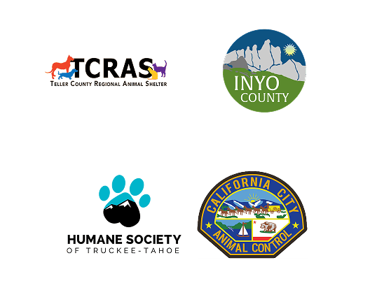 Local Partners Slide 21