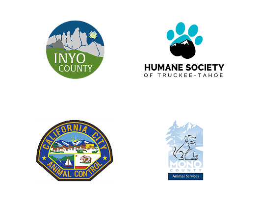 Local Partners Slide 21