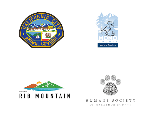 Local Partners Slide 22
