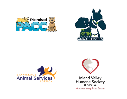 Local Partners Slide 3