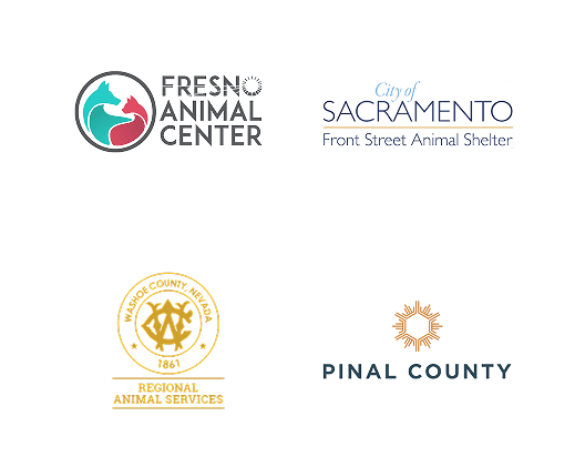 Local Partners Slide 5