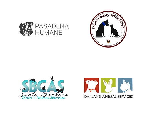 Local Partners Slide 6