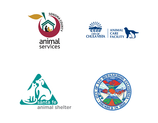 Local Partners Slide 8