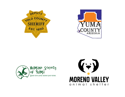 Local Partners Slide 9