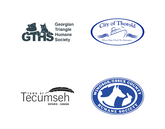 Local Partners Slide 10