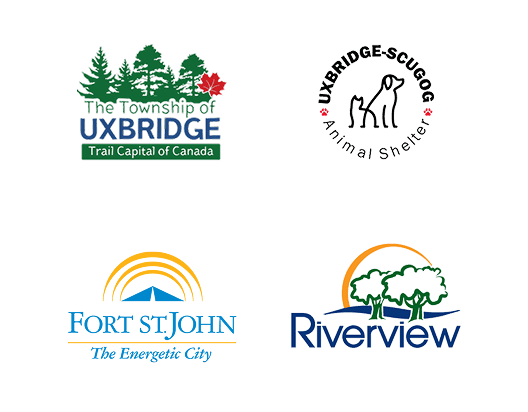 Local Partners Slide 12