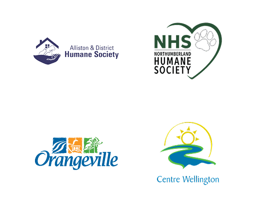 Local Partners Slide 8