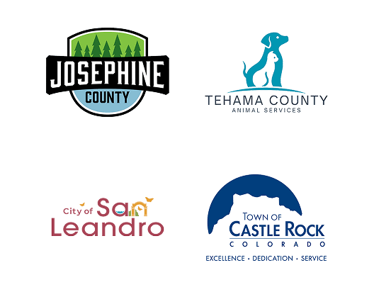 Local Partners Slide 16