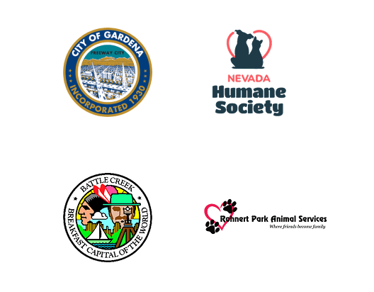 Local Partners Slide 19