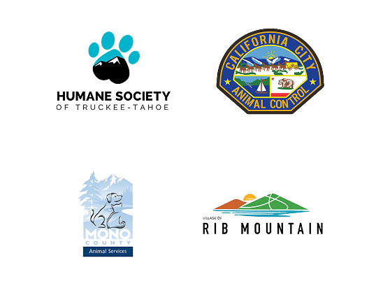 Local Partners Slide 22