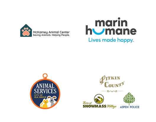 Local Partners Slide 11