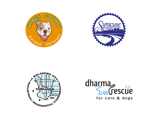 Local Partners Slide 12