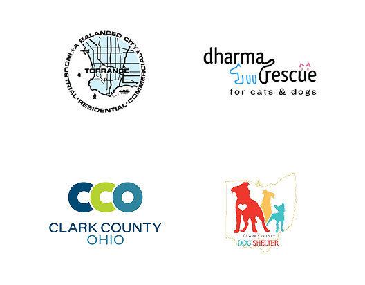 Local Partners Slide 13