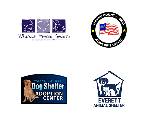 Local Partners Slide 14