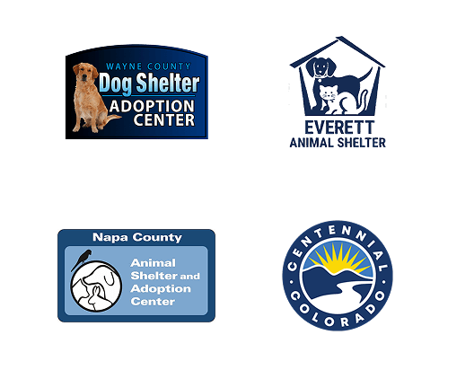 Local Partners Slide 14