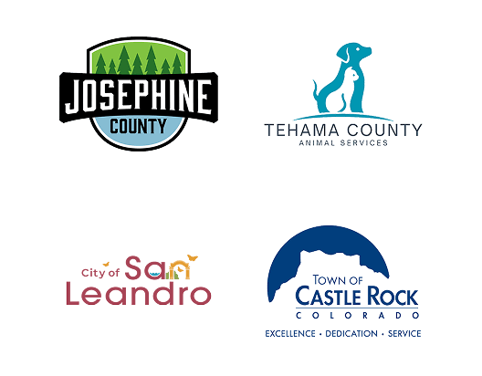 Local Partners Slide 17