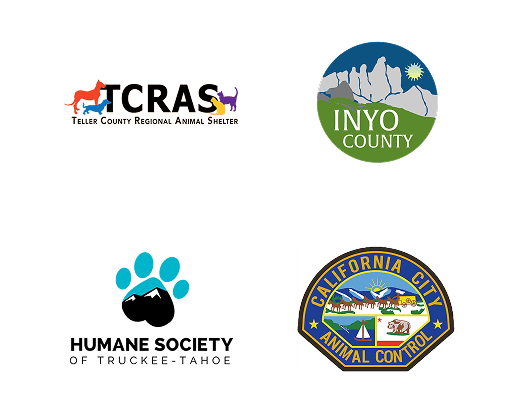 Local Partners Slide 23