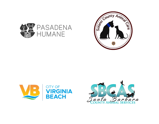 Local Partners Slide 6