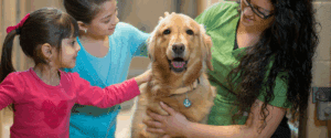 Dog Adopted with DocuPet Tag - DocuPet