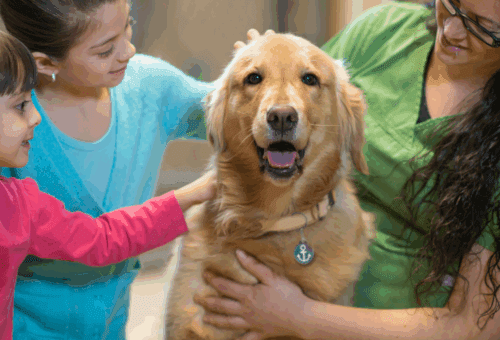 Dog Adopted with DocuPet Tag - DocuPet