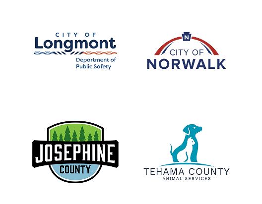 Local Partners Slide 17