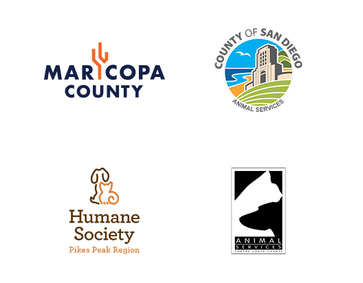 Local Partners Slide 1
