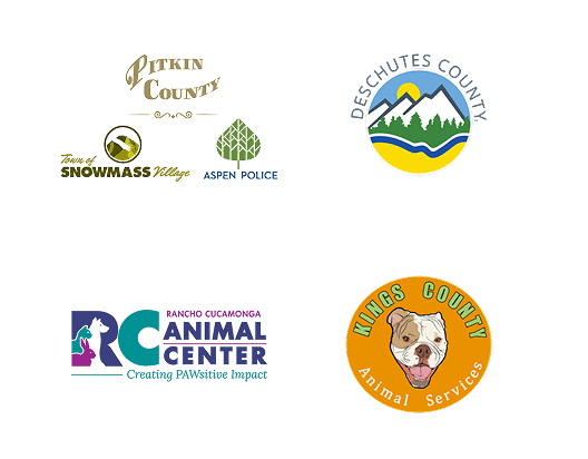Local Partners Slide 11