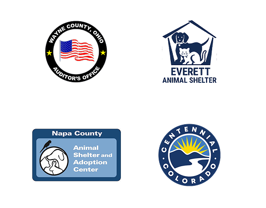 Local Partners Slide 13