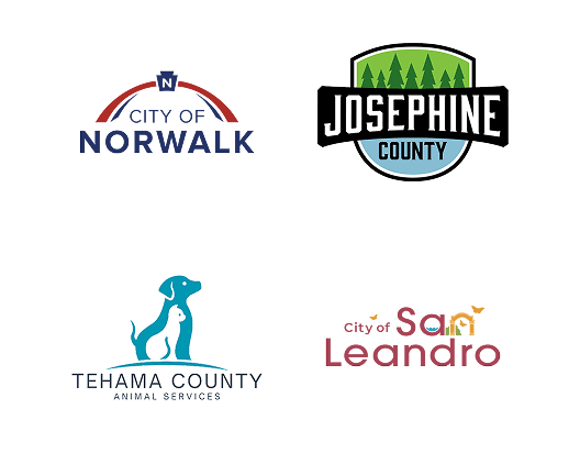 Local Partners Slide 15