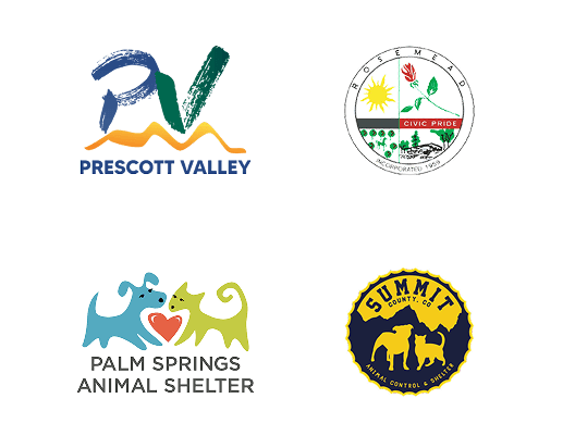 Local Partners Slide 19