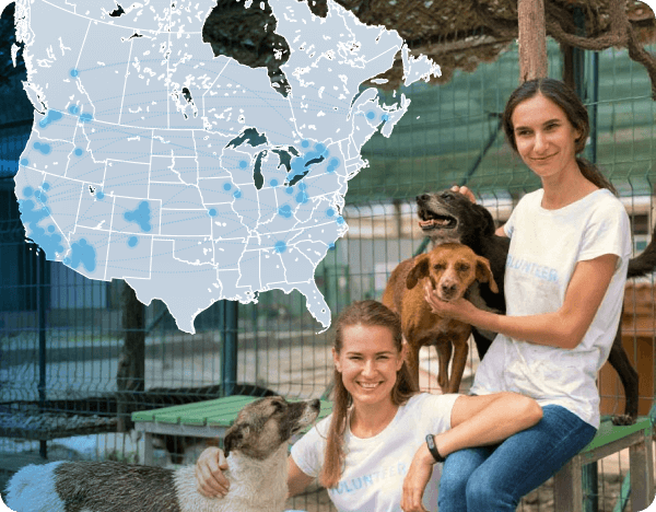 Shelter staff are sitting petting dogs at an animal shelter.