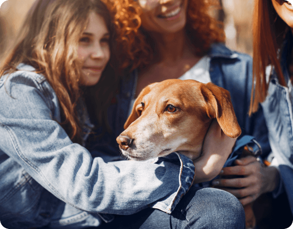 Shelter staff sitting petting dogs at an animal shelter.